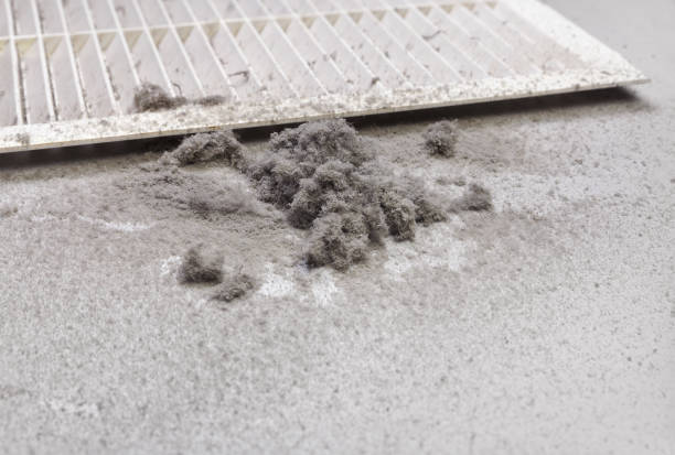 Best Air Duct Cleaning Near Me  in Gluckstadt, MS